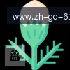 6T体育 logo